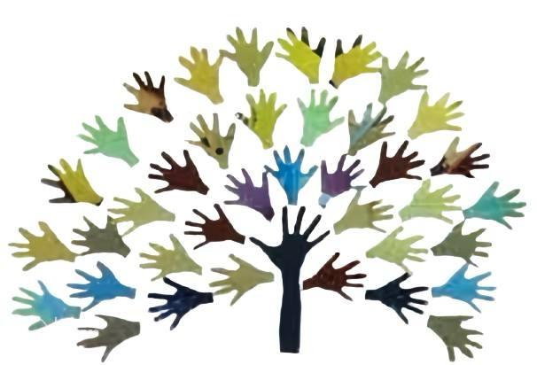 Partner Organization